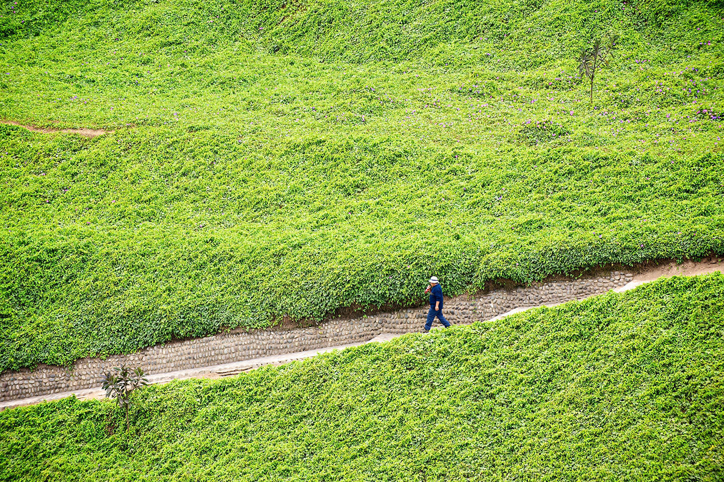 Miraflores District, Lima, Peru