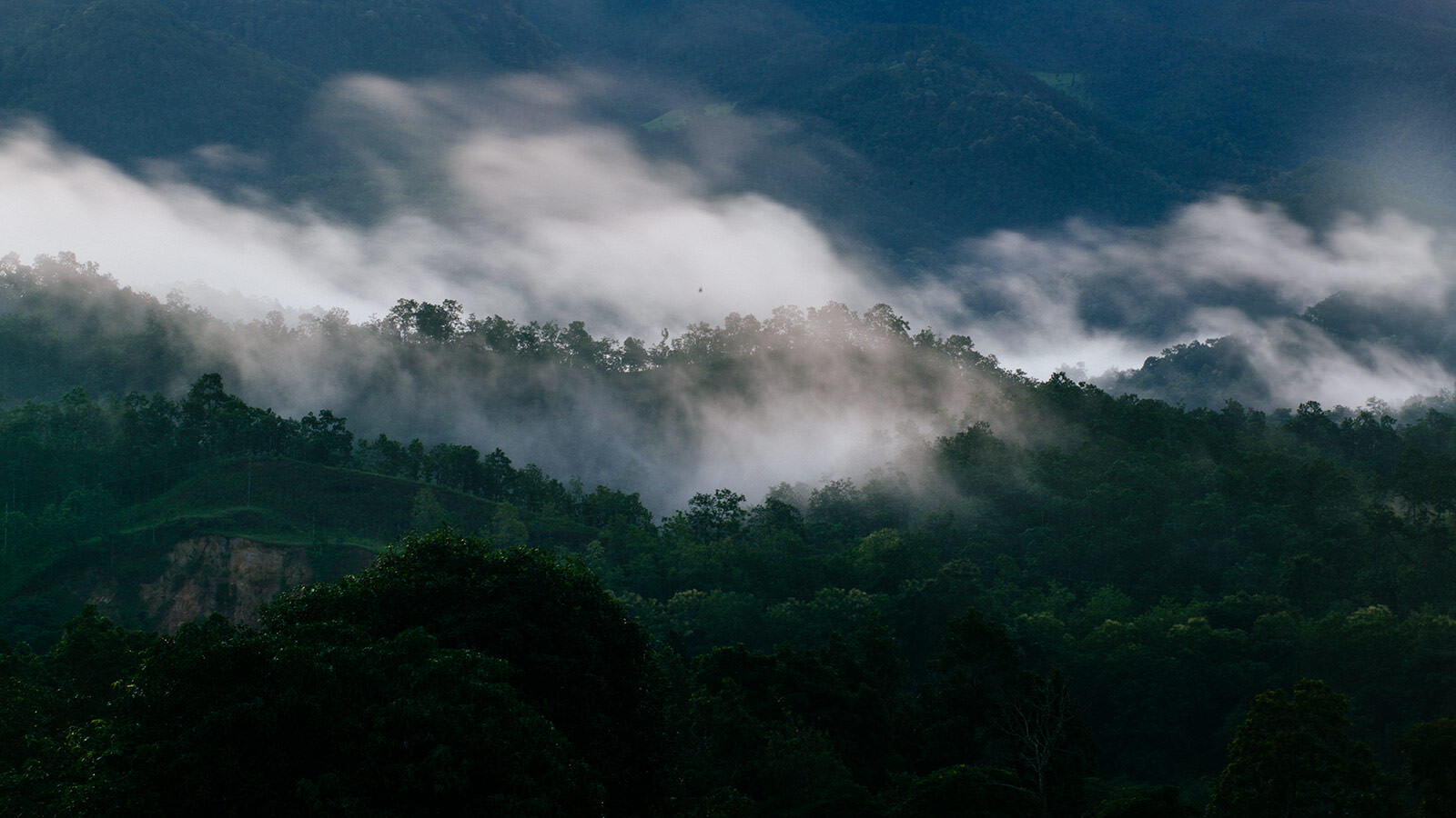 Fog moves in and out of the hills near the Thai-Burma border in northern Thailand