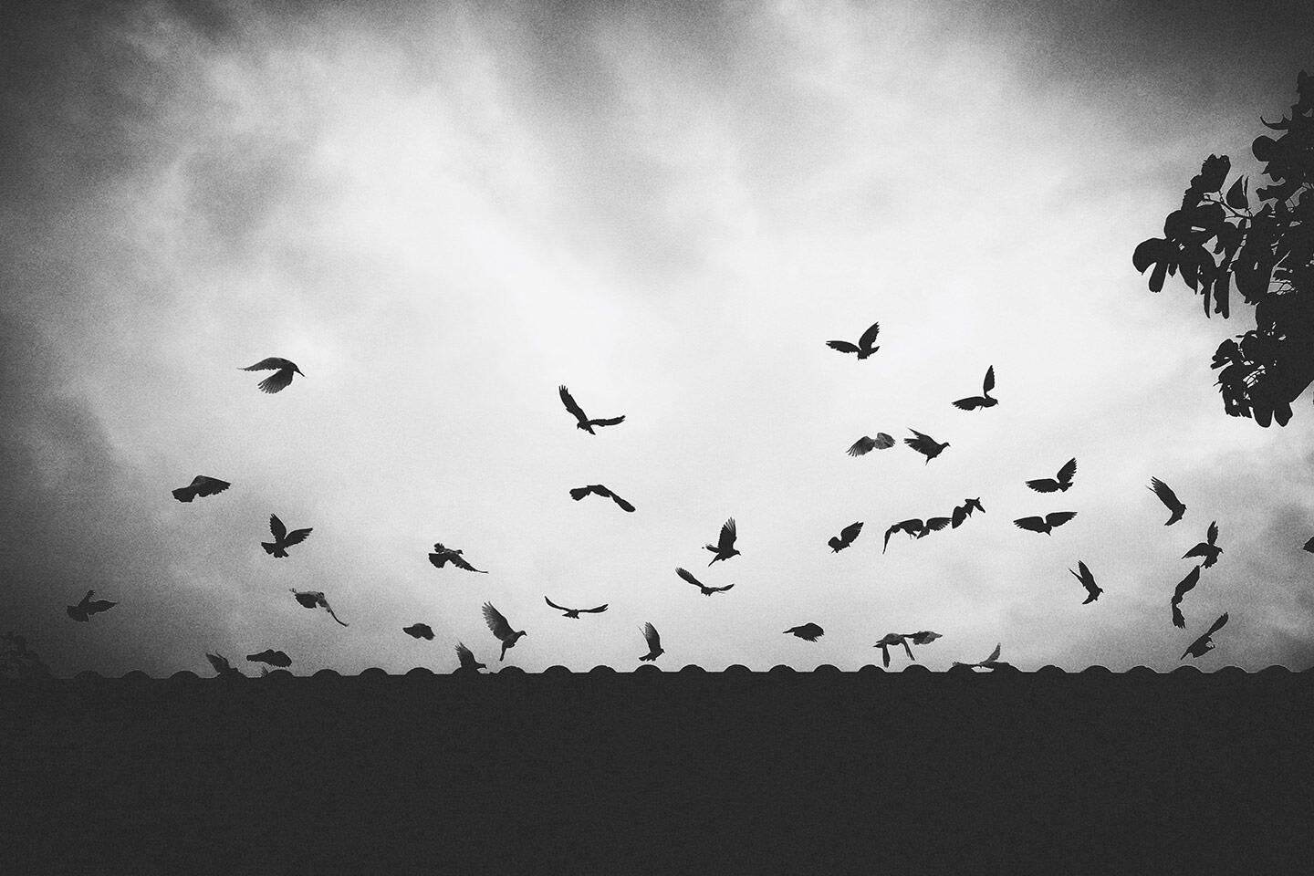 Chiang Mai, Thailand